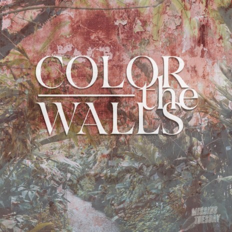 Color the Walls | Boomplay Music