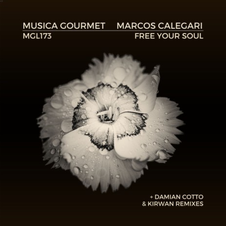 Free Your Soul (Damian Cotto Remix)