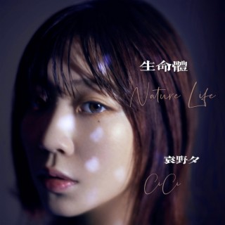 鹿 lyrics | Boomplay Music