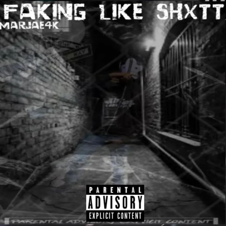 Faking Like Shxtt | Boomplay Music