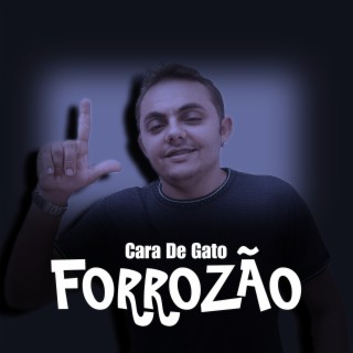 Cara de Gato in Forró (versão)