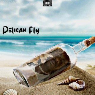 Pelican Fly