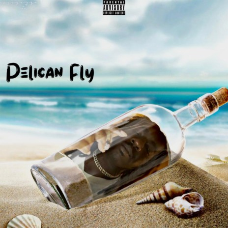 Pelican Fly | Boomplay Music