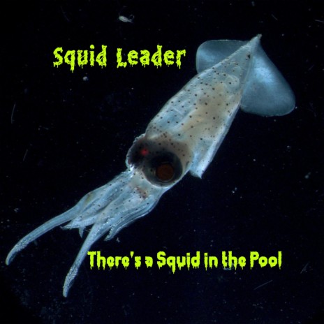 There's a Squid in the Pool | Boomplay Music