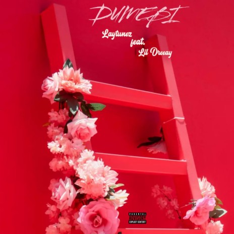 Dumebi ft. Lil Dreeay | Boomplay Music