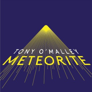 Meteorite