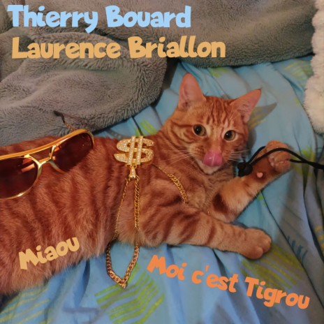 Miaou moi c'est Tigrou ft. Laurence Briallon | Boomplay Music