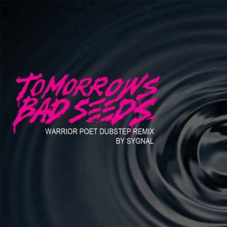 Warrior Poet DubStep (Remix) | Boomplay Music