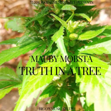 Truth In A Tree | Boomplay Music