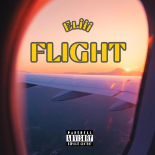 Flight