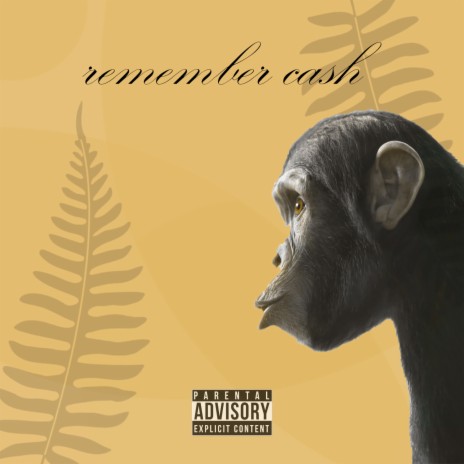 Remember Cash | Boomplay Music