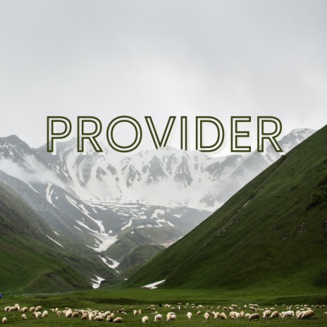 Provider ft. Joshua Sands | Boomplay Music