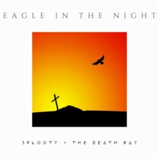 Eagle in the Night