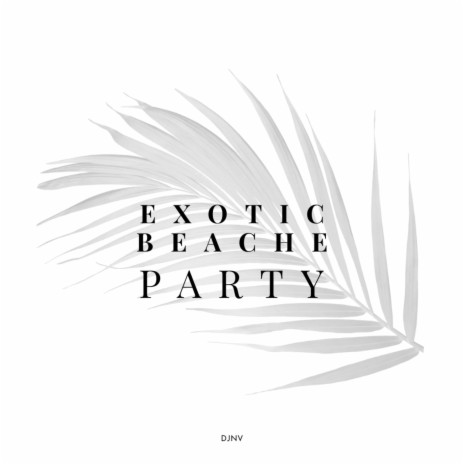 exotic beach (extanded)