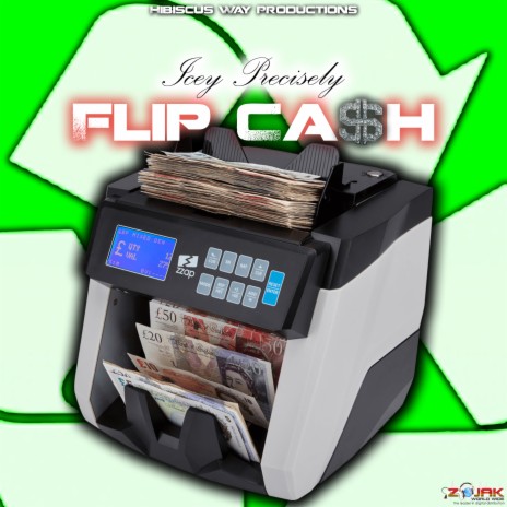 Flip Cash | Boomplay Music