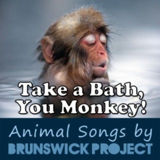 Take a Bath, You Monkey!