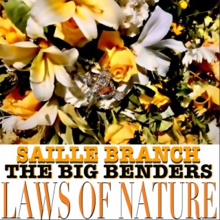 Laws of Nature