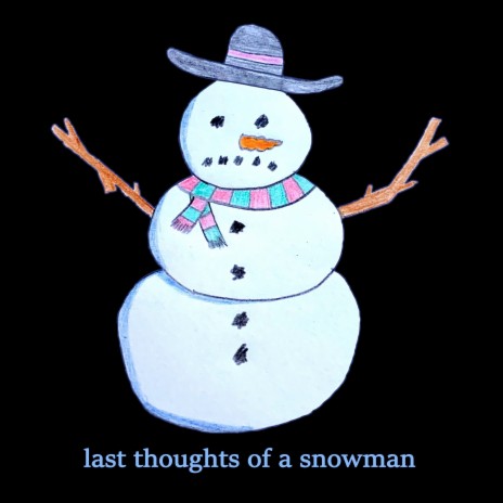 Last Thoughts of a Snowman