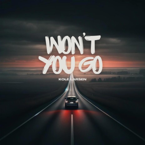 Won't You Go | Boomplay Music