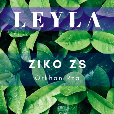 Leyla ft. Ziko ZS | Boomplay Music