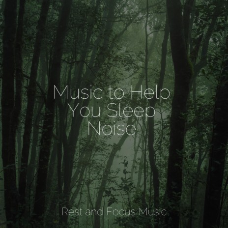 Deep Forest Calm | Boomplay Music