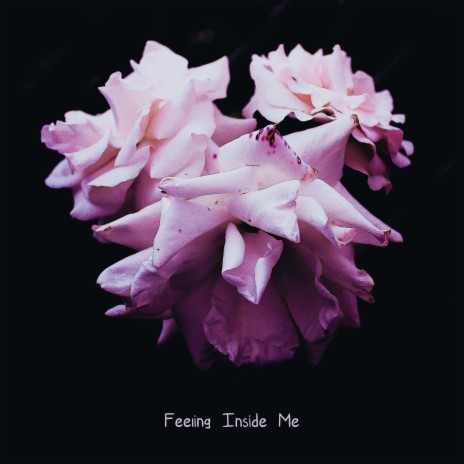 Feeling Inside Me | Boomplay Music