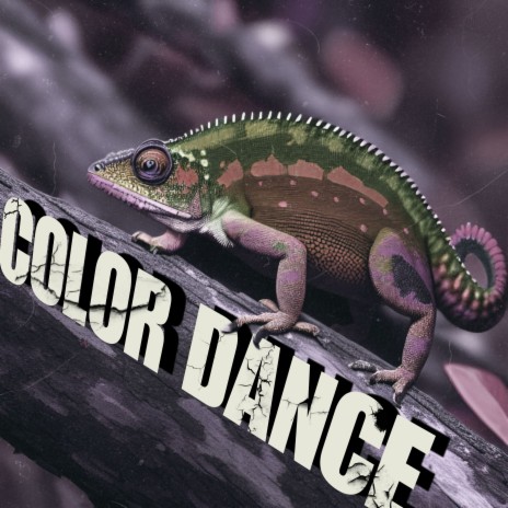 COLOR DANCE | Boomplay Music