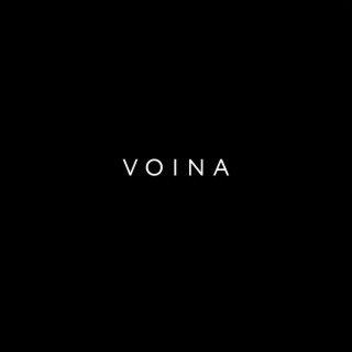 VOINA