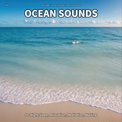 Ocean Sounds, Pt. 40 ft. Ocean Sounds & Nature Sounds
