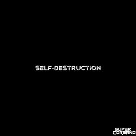 Self Destruction | Boomplay Music