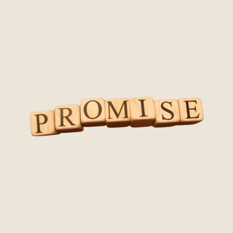 Quiet Promise | Boomplay Music