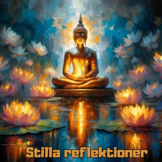 Stilla reflektioner: Fördjupa dig i Buddhas meditation