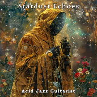 Stardust Echoes