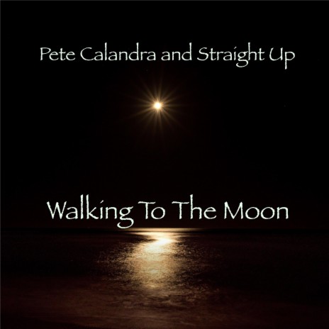 Walking To The Moon | Boomplay Music