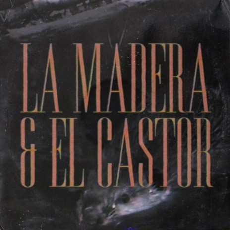 La Madera & el Castor | Boomplay Music