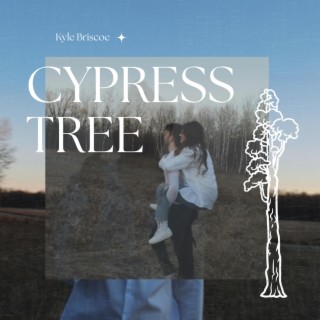 Cypress Tree lyrics | Boomplay Music