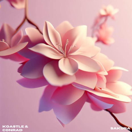 Sakura ft. Conrad | Boomplay Music