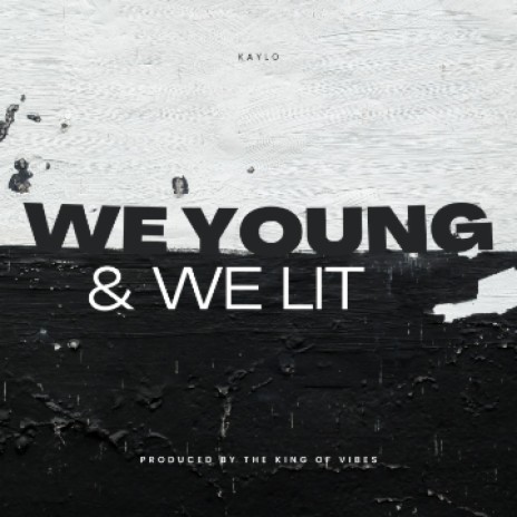 We young & we lit | Boomplay Music