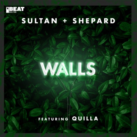 Walls ft. Quilla | Boomplay Music