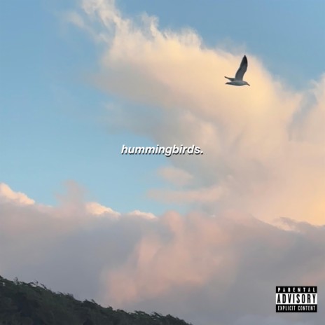 hummingbirds (4 you) | Boomplay Music