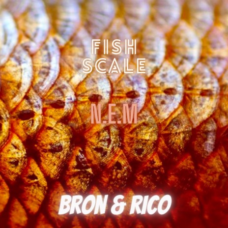 Fish Scale ft. N.E.M BRON | Boomplay Music
