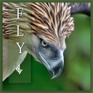 Fly (Progressive House Mix)