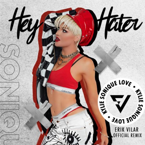 Hey Hater (feat. Erik Vilar) (Remix Radio Edit) | Boomplay Music