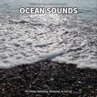 #001 Ocean Sounds for Sleep, Relaxing, Studying, to Let Go