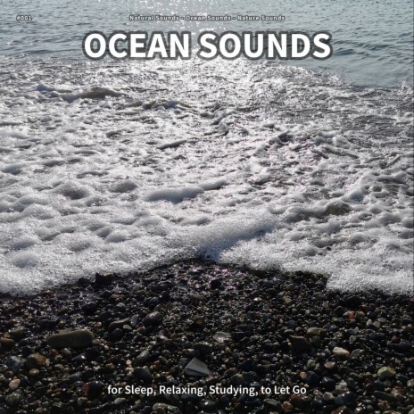 Ocean Sounds, Pt. 96 ft. Ocean Sounds & Nature Sounds