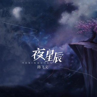 夜星辰 lyrics | Boomplay Music