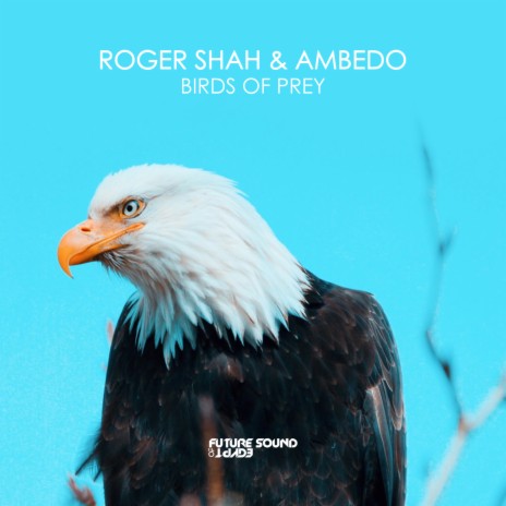 Birds Of Prey (Instrumental Edit) ft. Ambedo