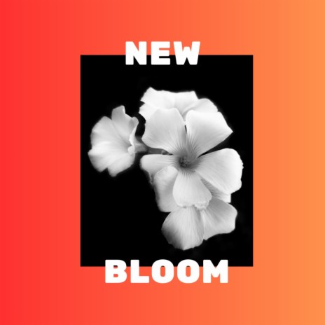 New Bloom | Boomplay Music