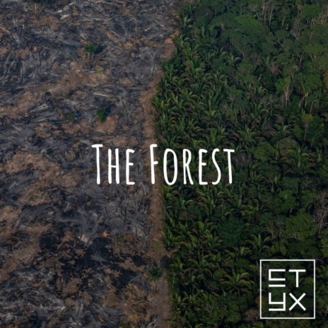 The Forest | Boomplay Music