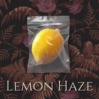 Lemon Haze